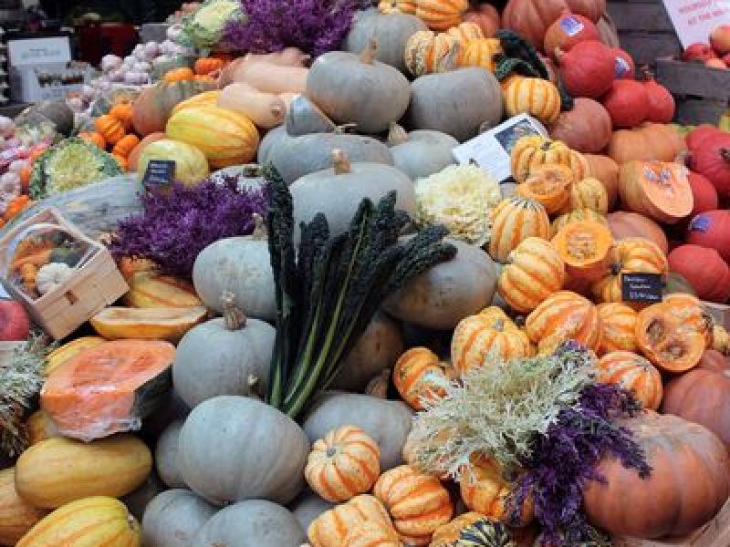 Herbst